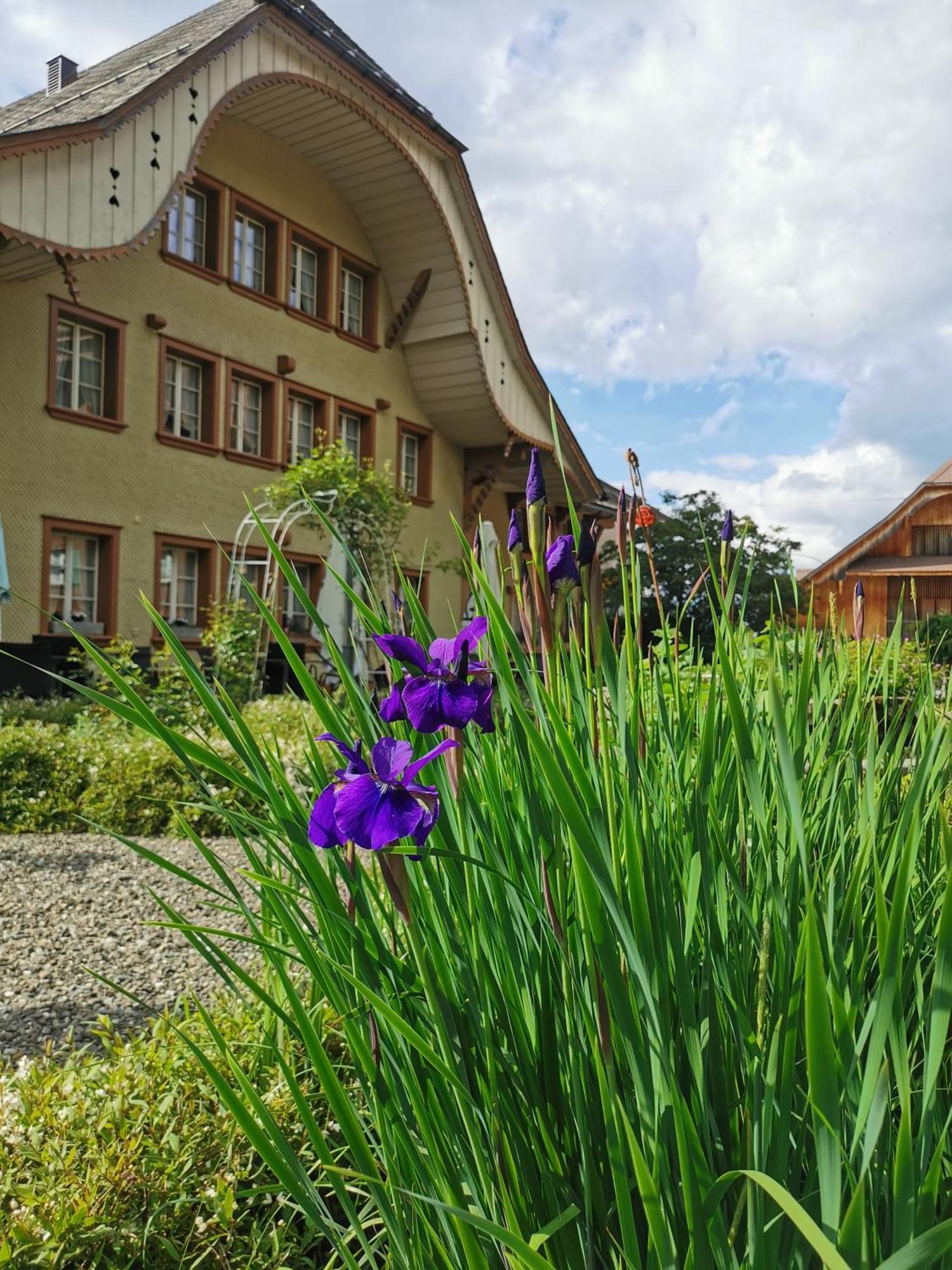 Gasthof Kreuz Marbach מראה חיצוני תמונה